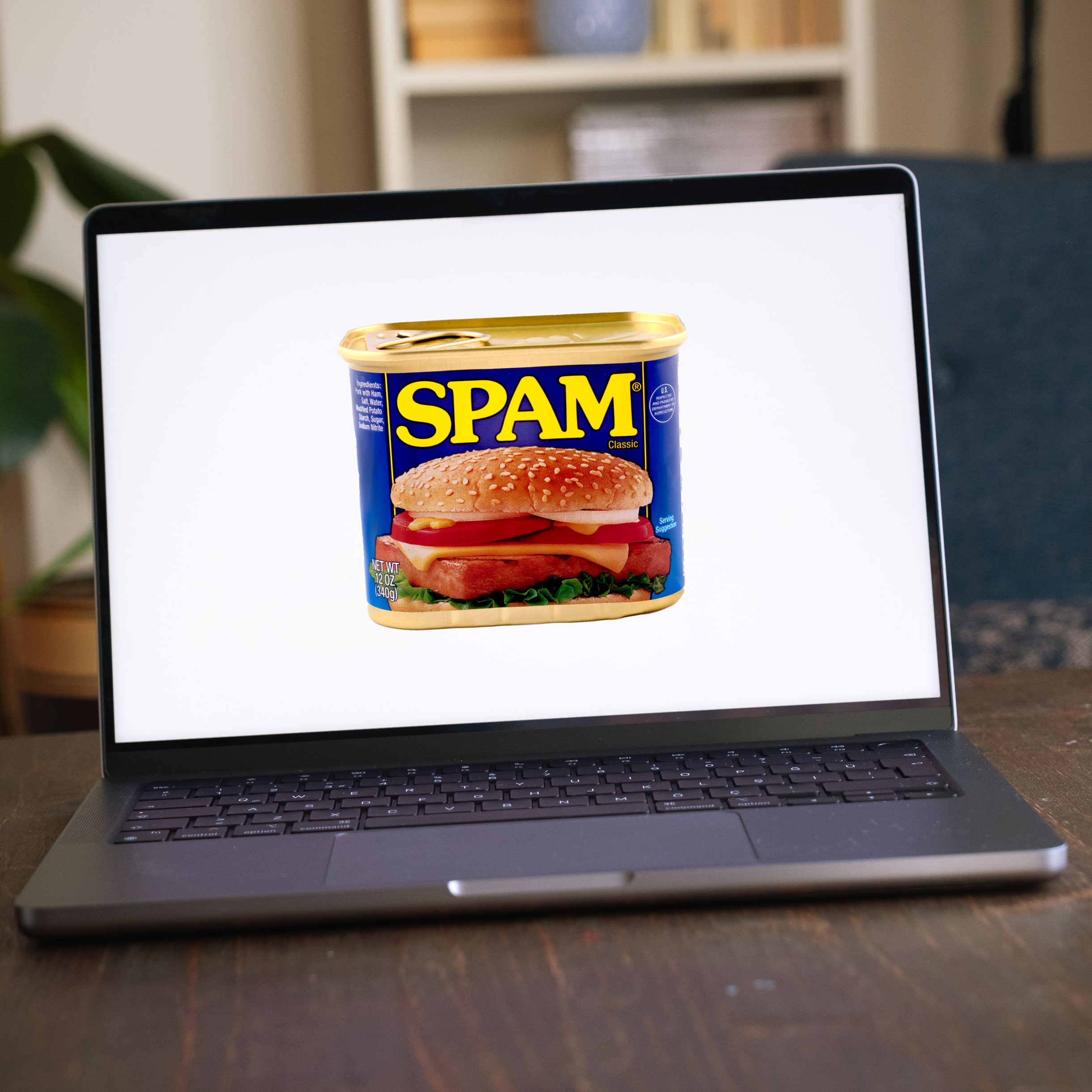 Have you had your SPAM today?